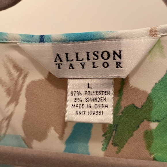 186. Allison Taylor Cap Sleeve Top Large Multi Blue - Picture 2 of 2